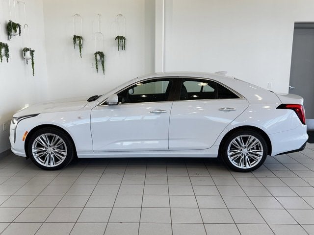 2026 Cadillac CT4 Premium Luxury