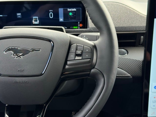 2025 Ford Mustang Mach-E Premium w/ Panoramic Fixed-Glass Roof