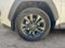 2026 Toyota RAV4 XLE Premium AWD