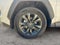 2026 Toyota RAV4 XLE Premium AWD