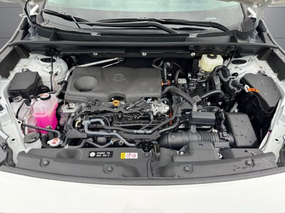2026 Toyota RAV4 Woodland AWD