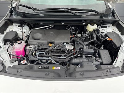 2026 Toyota RAV4 Woodland AWD