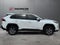 2025 Toyota RAV4 XLE AWD