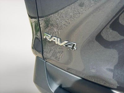 2025 Toyota RAV4 XLE AWD