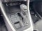 2024 Toyota RAV4 XLE AWD