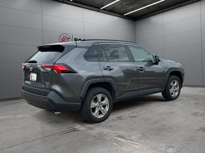 2024 Toyota RAV4 XLE AWD