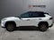 2025 Toyota RAV4 Hybrid Woodland Edition AWD