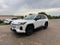 2026 Toyota RAV4 XLE Premium AWD