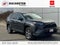 2024 Toyota RAV4 Hybrid XLE AWD