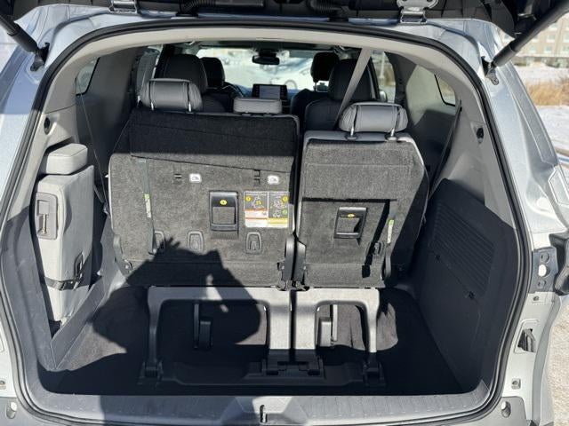 2024 Toyota Sienna XLE 8 Passenger