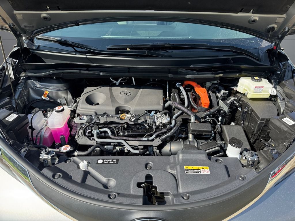 2026 Toyota Sienna XLE 7 Passenger
