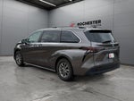 2023 Toyota Sienna XLE 7 Passenger