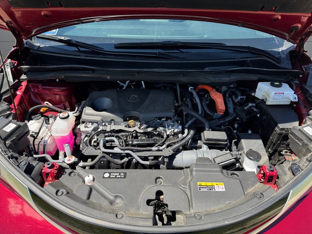 2025 Toyota Sienna Limited 7 Passenger