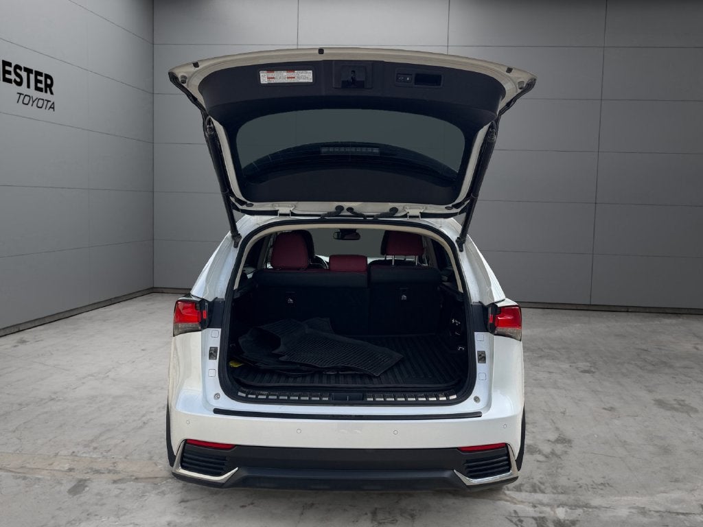 2020 Lexus NX 300h AWD