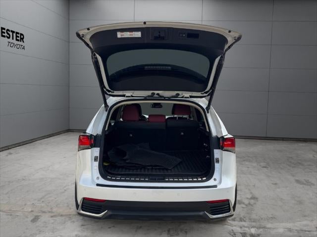 2020 Lexus NX 300h AWD