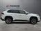2019 Toyota RAV4 XLE Premium FWD