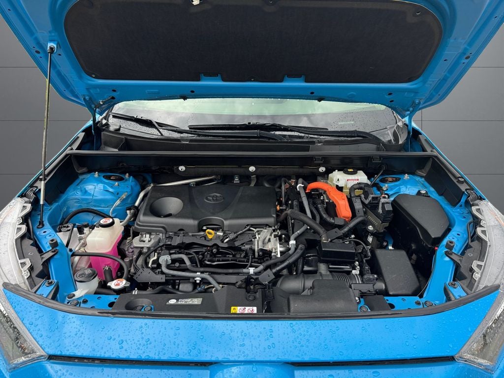 2019 Toyota RAV4 Hybrid LE AWD