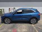 2022 Ford Escape Hybrid SEL