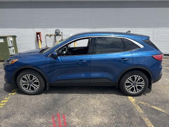 2022 Ford Escape Hybrid SEL