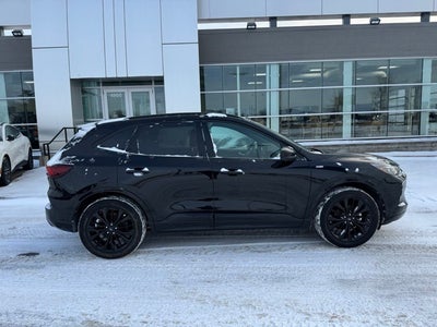 2023 Ford Escape Hybrid ST-Line Elite w/ Panoramic Moonroof + Head-Up Display