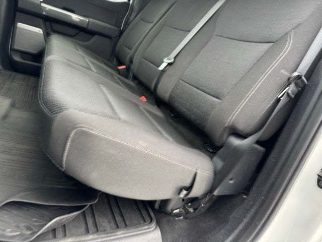 2023 Ford F-150 XLT w/ Twin Panel Moonroof + 360 Camera