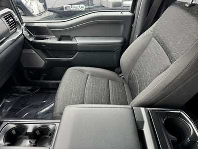 2023 Ford F-150 XLT w/ Twin Panel Moonroof + 360 Camera