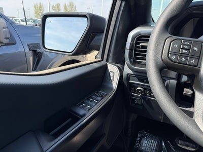 2025 Ford F-150 STX w/Black Appearance