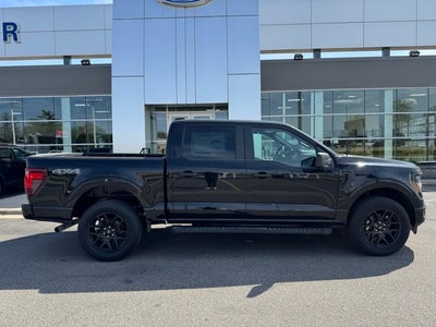 2025 Ford F-150 STX w/Black Appearance