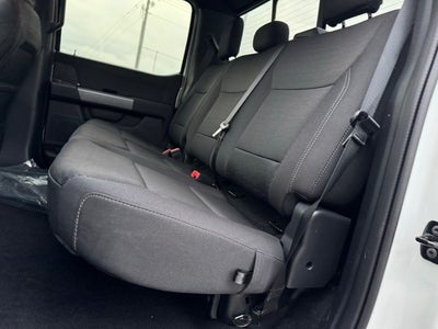 2025 Ford F-150 XLT w/ Black Appearance + Package