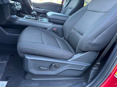 2025 Ford F-150 XLT w/Blue Cruise + Dual Exhaust