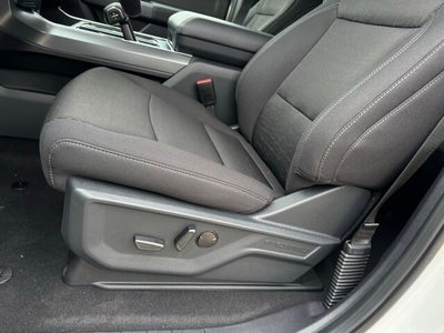 2025 Ford F-150 XLT w/ Black Appearance Package