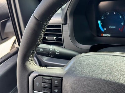 2025 Ford F-150 XLT w/ Blk Appearance Pkg