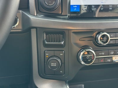 2025 Ford F-150 XLT w/ Blk Appearance Pkg