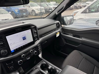 2025 Ford F-150 XLT w/Blue Cruise