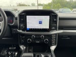 2025 Ford F-150 XLT w/Blue Cruise
