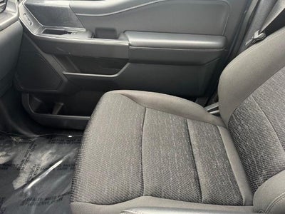 2023 Ford F-150 XLT w/ 6.5' Box