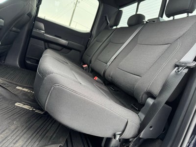 2024 Ford F-150 XLT w/ 360 Camera + Tow/Haul Package