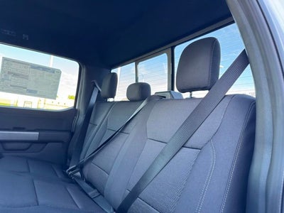 2026 Ford F-150 XLT 6.5' Bed w/FX4 Pkg + Tailgate Step