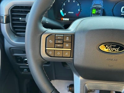 2026 Ford F-150 XLT w/Black App Pkg
