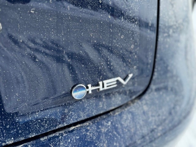 2026 Toyota Prius XLE AWD