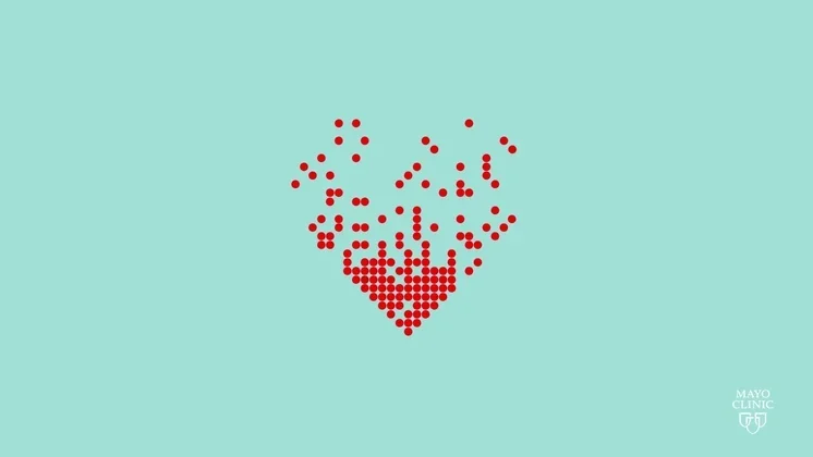 Rochester Motor Cars in Rochester MN